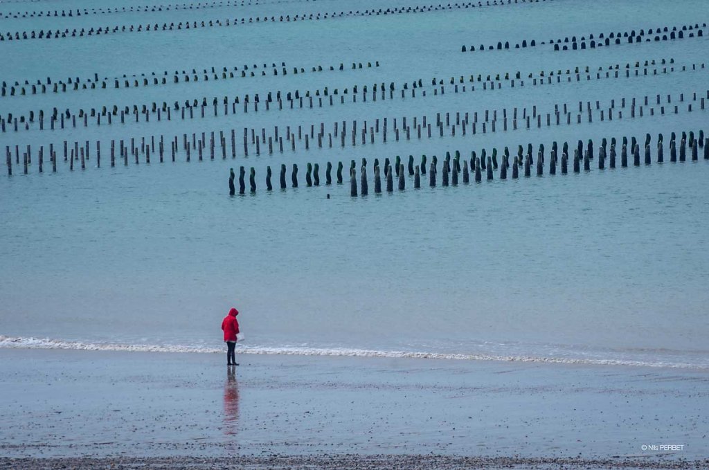 Mussels field