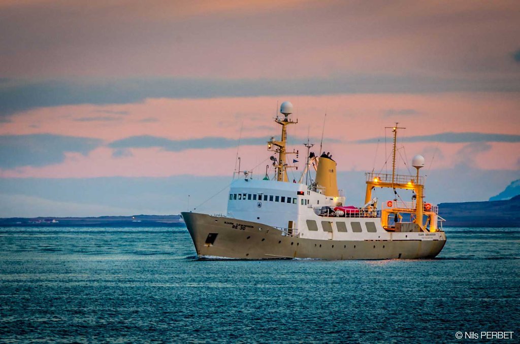 Fishing boat coming back to the harbour at dawn