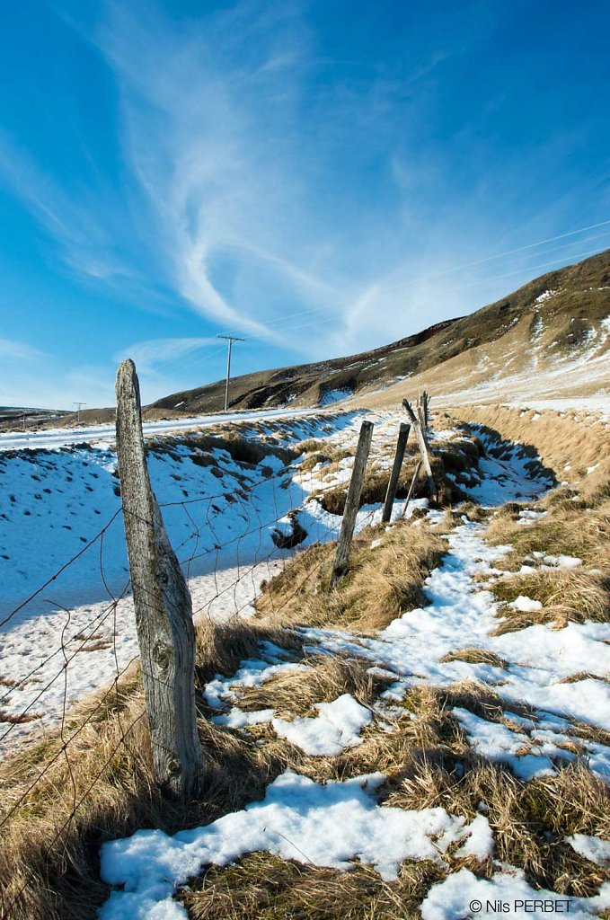 A fence in the winter