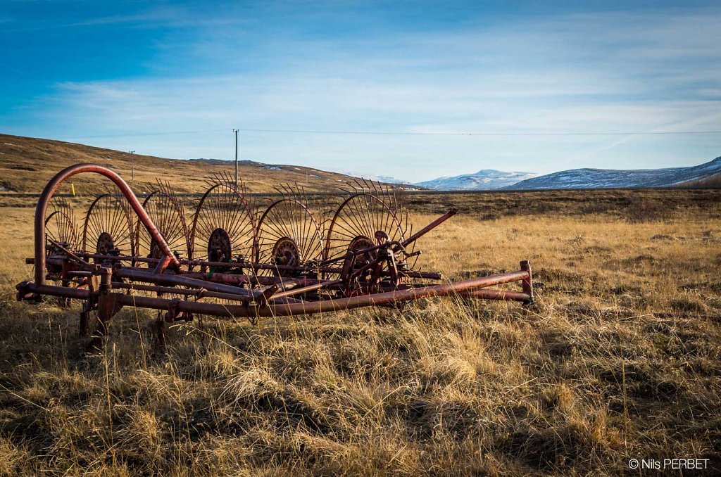 Old reaper in Iceland