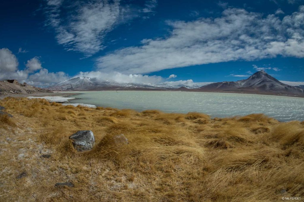 Laguna Blanca in the Sur Lípez