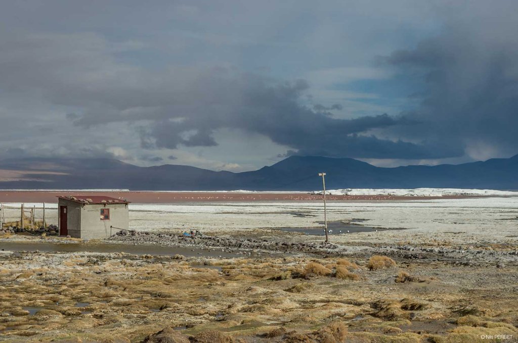 Laguna Colorada