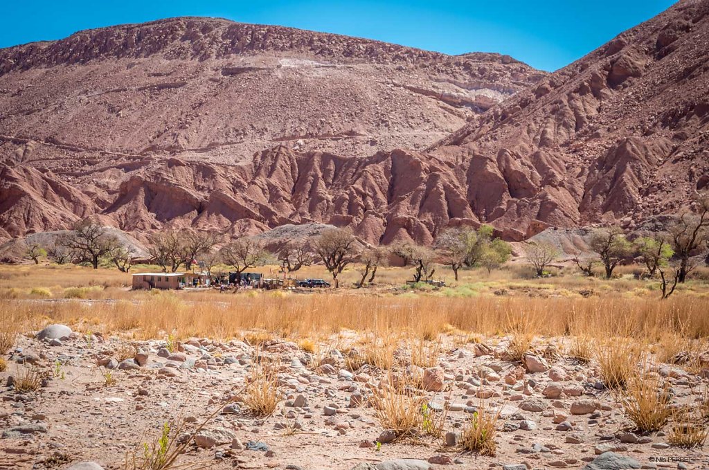 The house in the desert