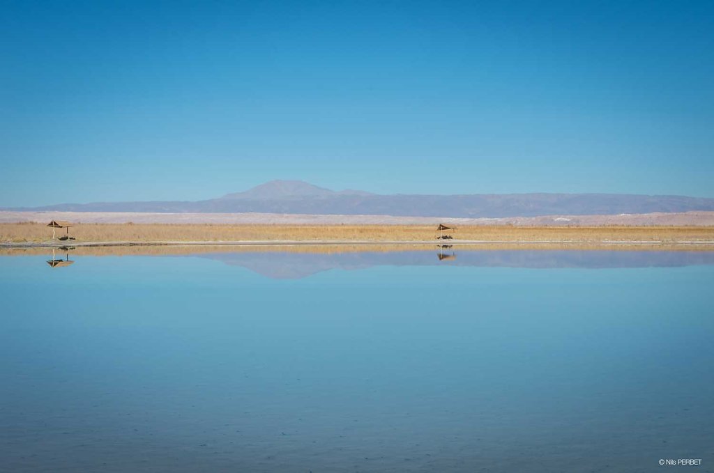 Laguna Cejar